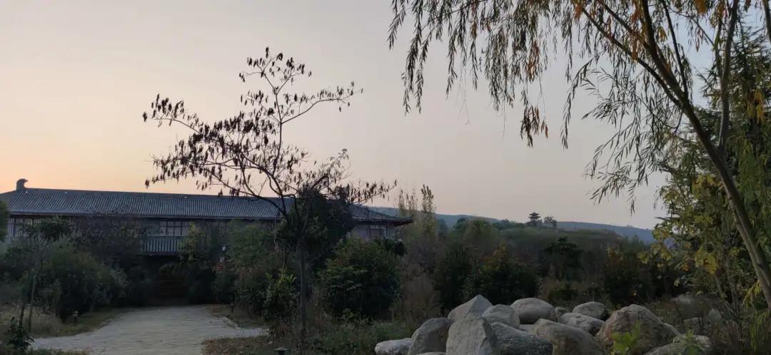 1605251148282203.jpg 1605251148282203.jpg